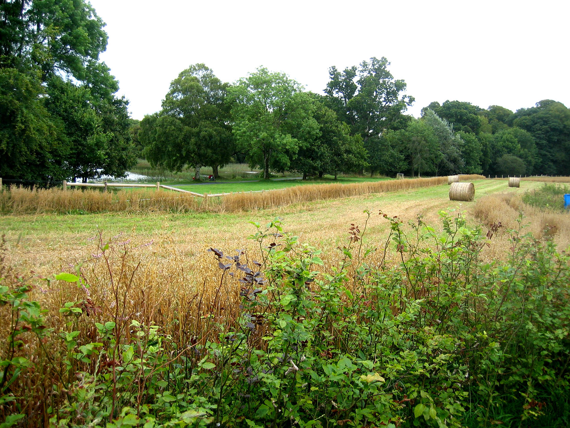 Parc du Festival de Jardins d'EMO