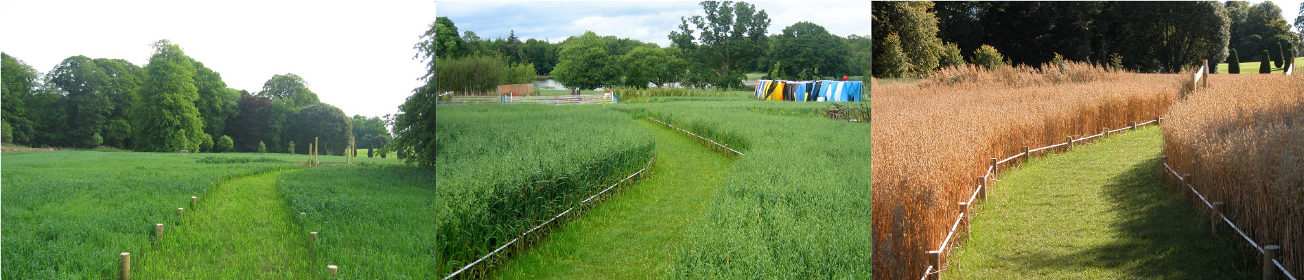 Parc du Festival de Jardins d'EMO