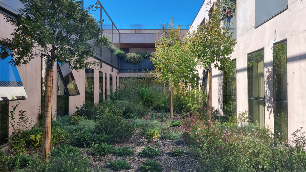 Groupe Scolaire Brazza