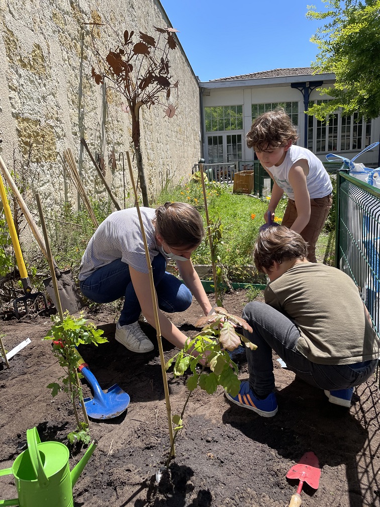 Plantation participative d'une micro-forêt à Mainjolles à Bordeaux