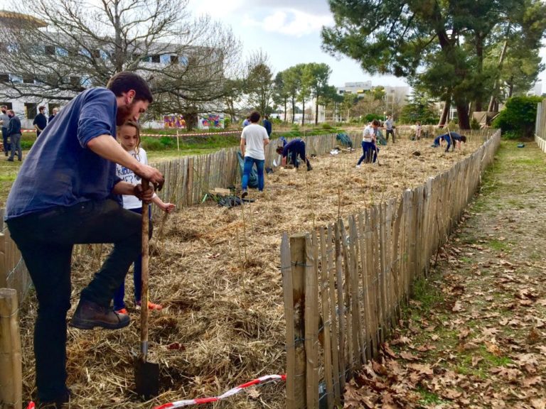 Plantation participative d'une micro-forêt à Pessac Ampéris