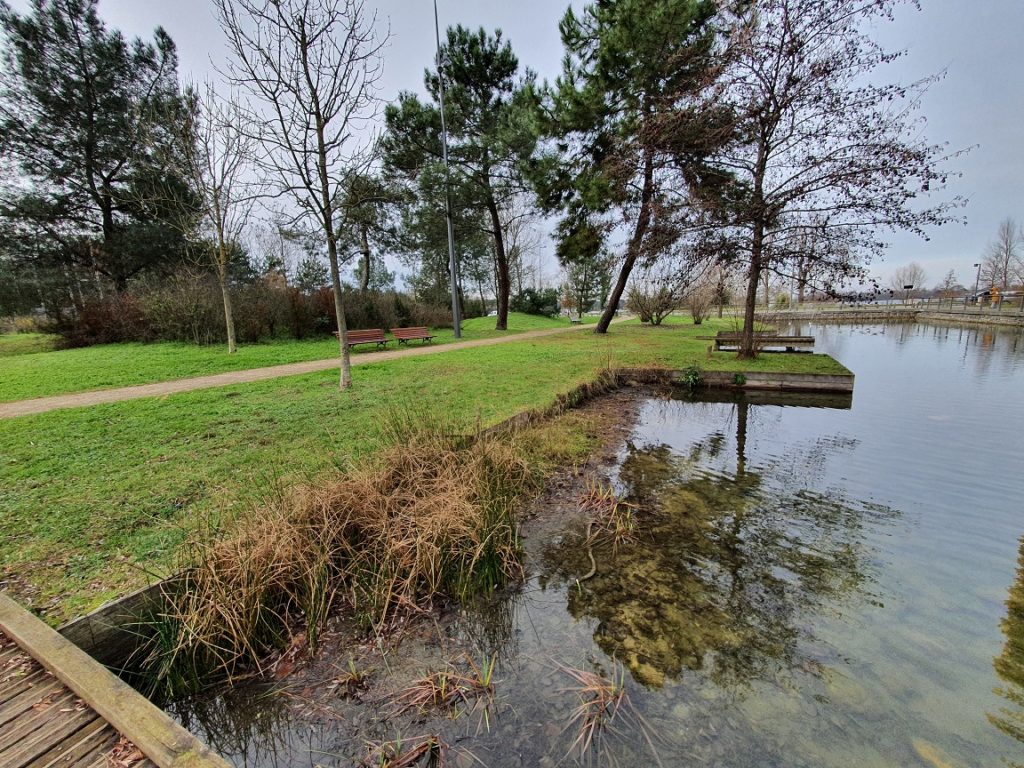 Du côté du lac, le parc Bühler est composé d'une pinède longeant un des canal de Ginko