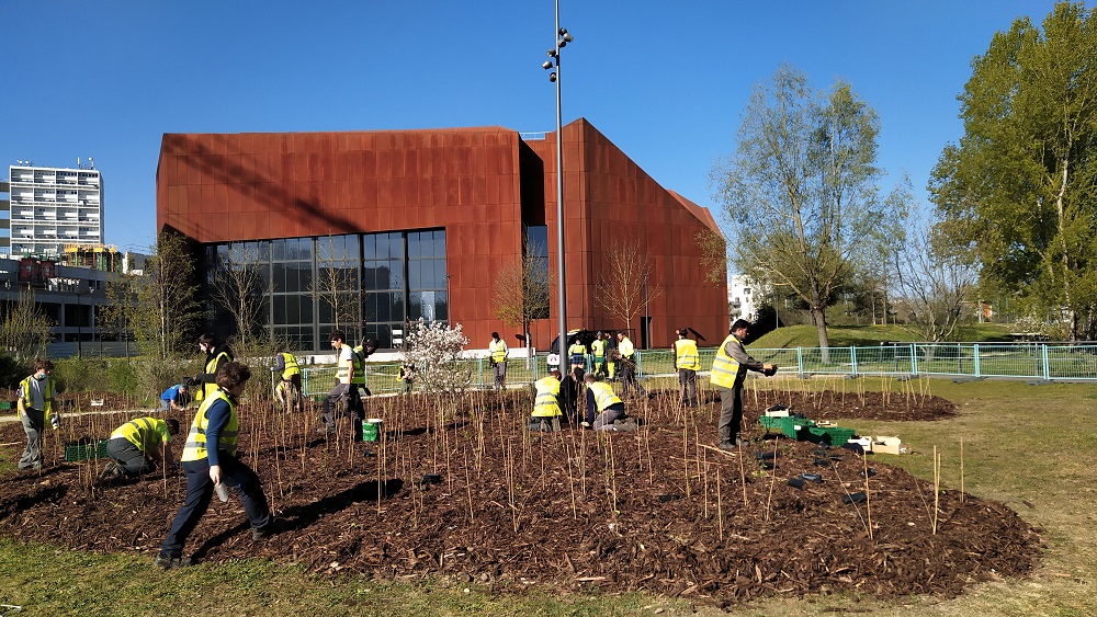 Plantation participative d'une microforet au parc Bühler près de Bordeaux lac