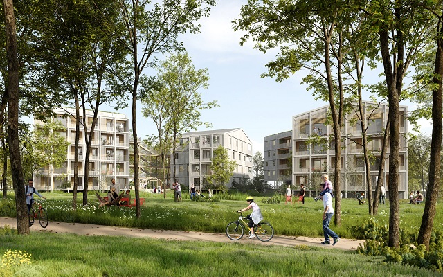 Jardins partagés dans le quartier du Pontet à Pessac. Rideau d'arbres élancés, qui s'ouvre sur les logements du quartier.