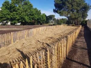 Un paillage épais forme un tapis s'allongeant le long du site Ampéris à Pessac