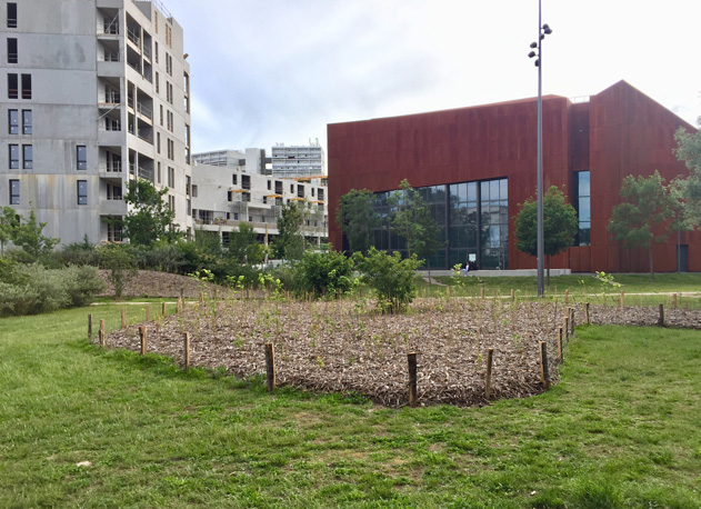 Micro-forêt-parc-BühlerFINAL