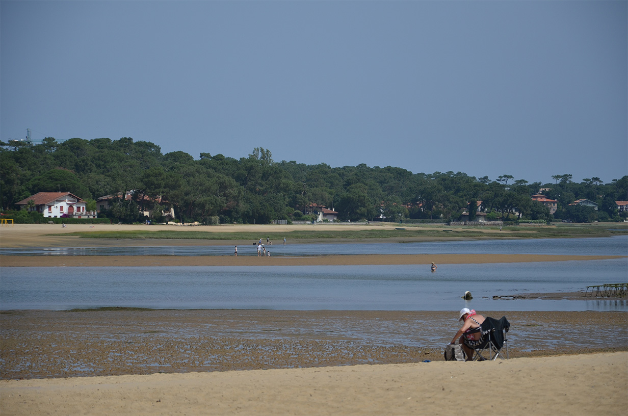 Réaménagement durable de plages