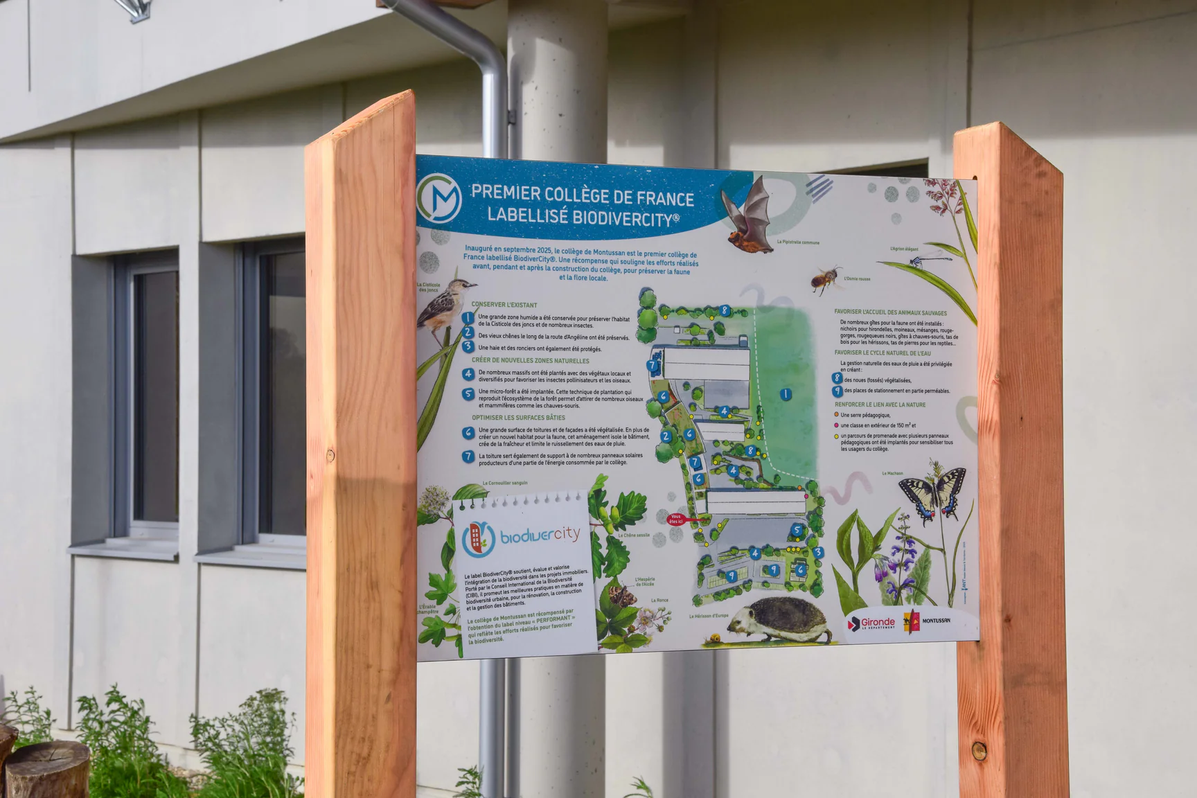 Collège de Montussan