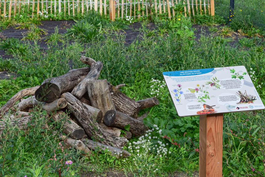 Collège de Montussan