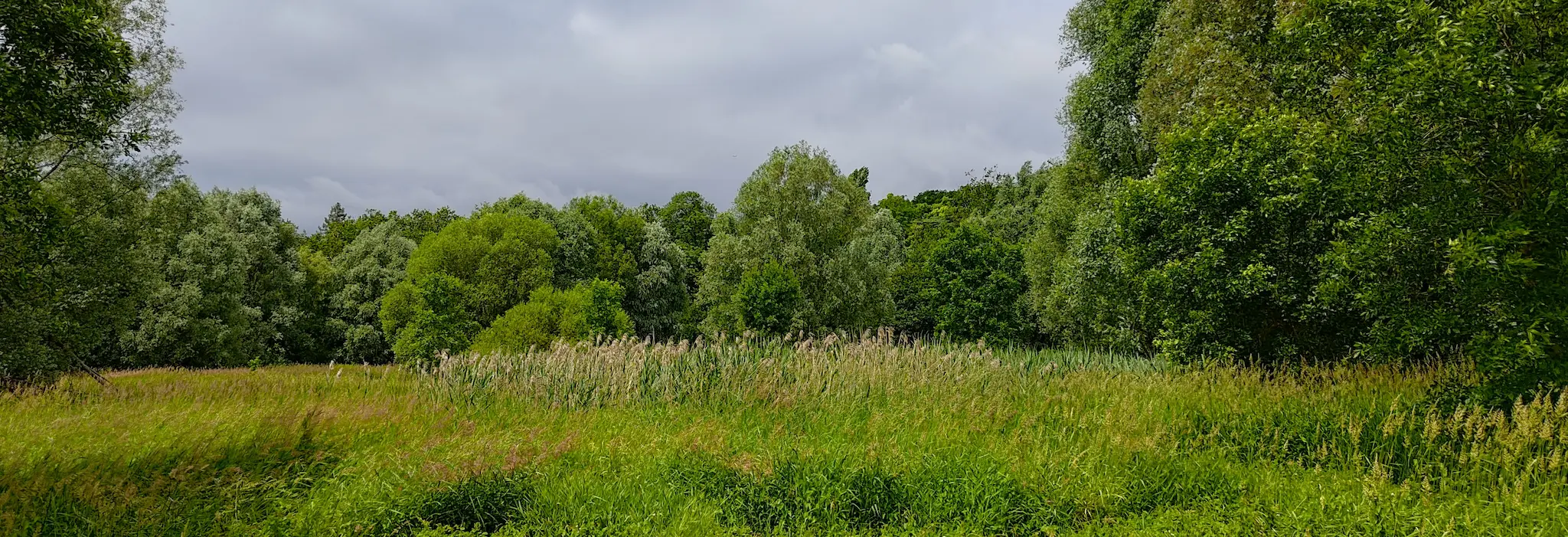 Requalification du site de Perray-Vaucluse