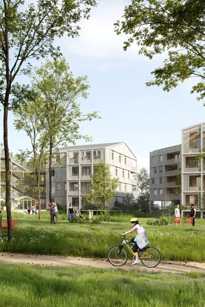 Jardins partagés dans le quartier du Pontet à Pessac. Rideau d'arbres élancés, qui s'ouvre sur les logements du quartier.